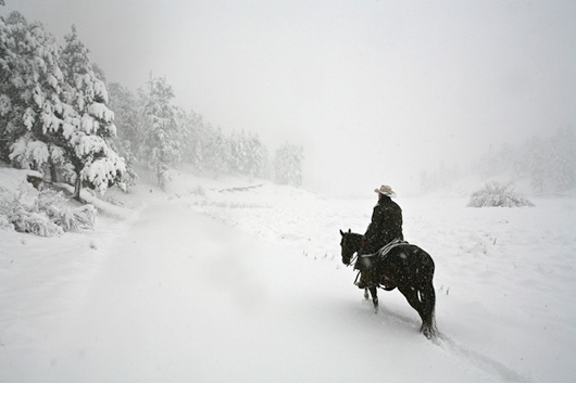 Coyboy in a blizzard