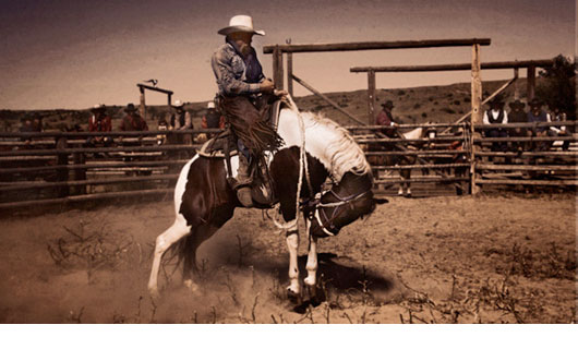 Cowboy on bucking horse