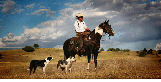 Cowboy on horse with dogs photo
