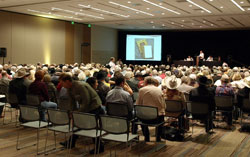 High Noon Auction