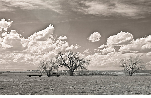 Nadine Levin Photo Heading Home
