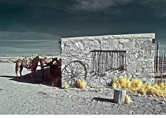 Old building with horses