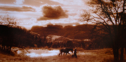 Cowboy leading his horse past a pond