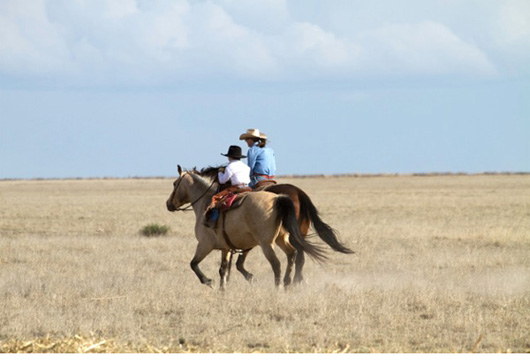 Mother and child riding on their horses