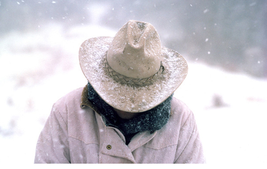 Cowboy in Snow Photograph