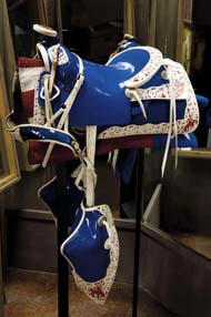 Blue Plastic Saddle