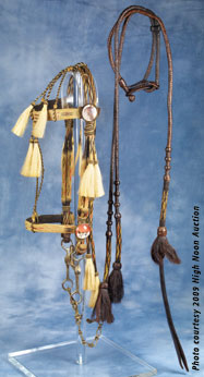 Horsehair Bridle