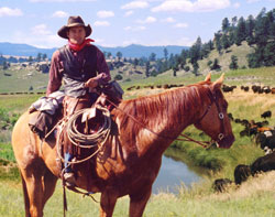 Bob Coronato